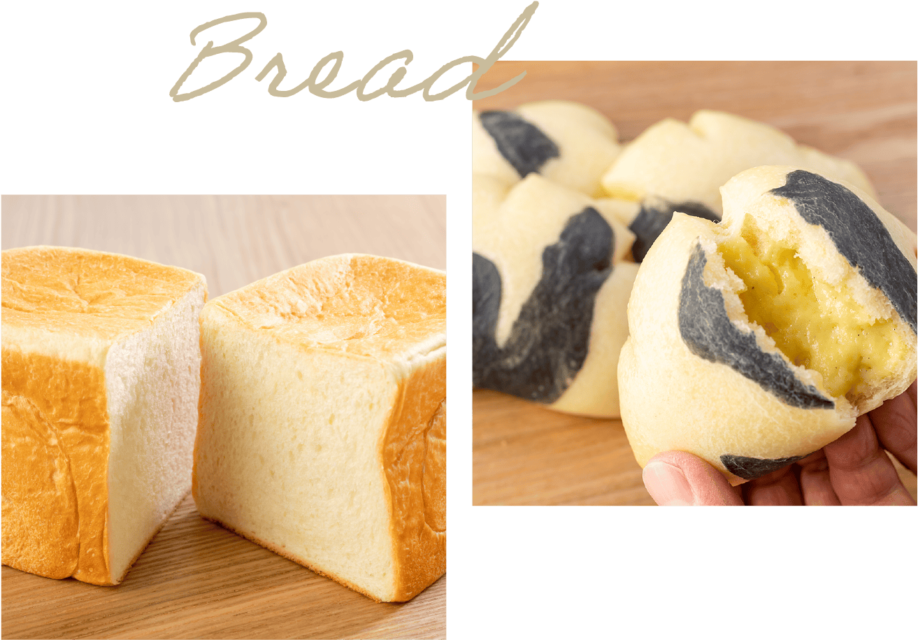 Bread
